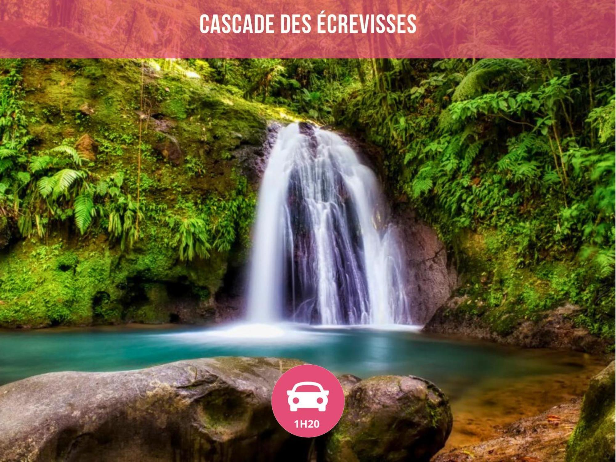 Le Sable Bleu - Evasion Tropicale A Sainte-Anne - Plage 5Min - Piscine - Parking - Logement Climatise - Vue Sur Les Palmiers - Parfait Pour Sejours En Famille Ou Entre Amis Eksteriør billede