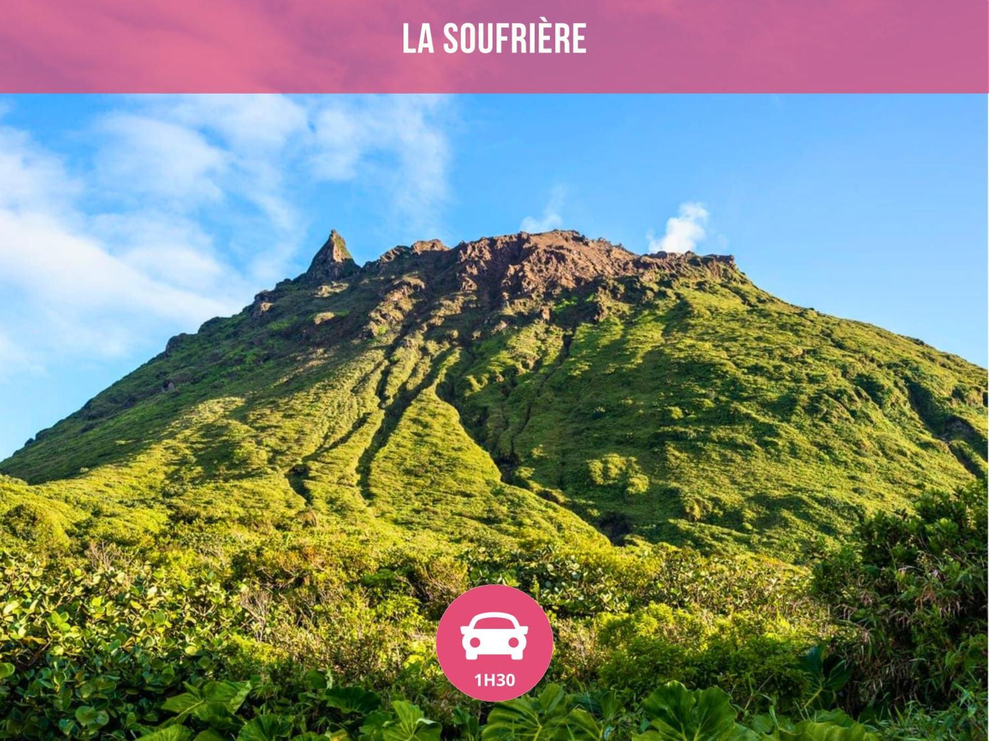 Le Sable Bleu - Evasion Tropicale A Sainte-Anne - Plage 5Min - Piscine - Parking - Logement Climatise - Vue Sur Les Palmiers - Parfait Pour Sejours En Famille Ou Entre Amis Eksteriør billede