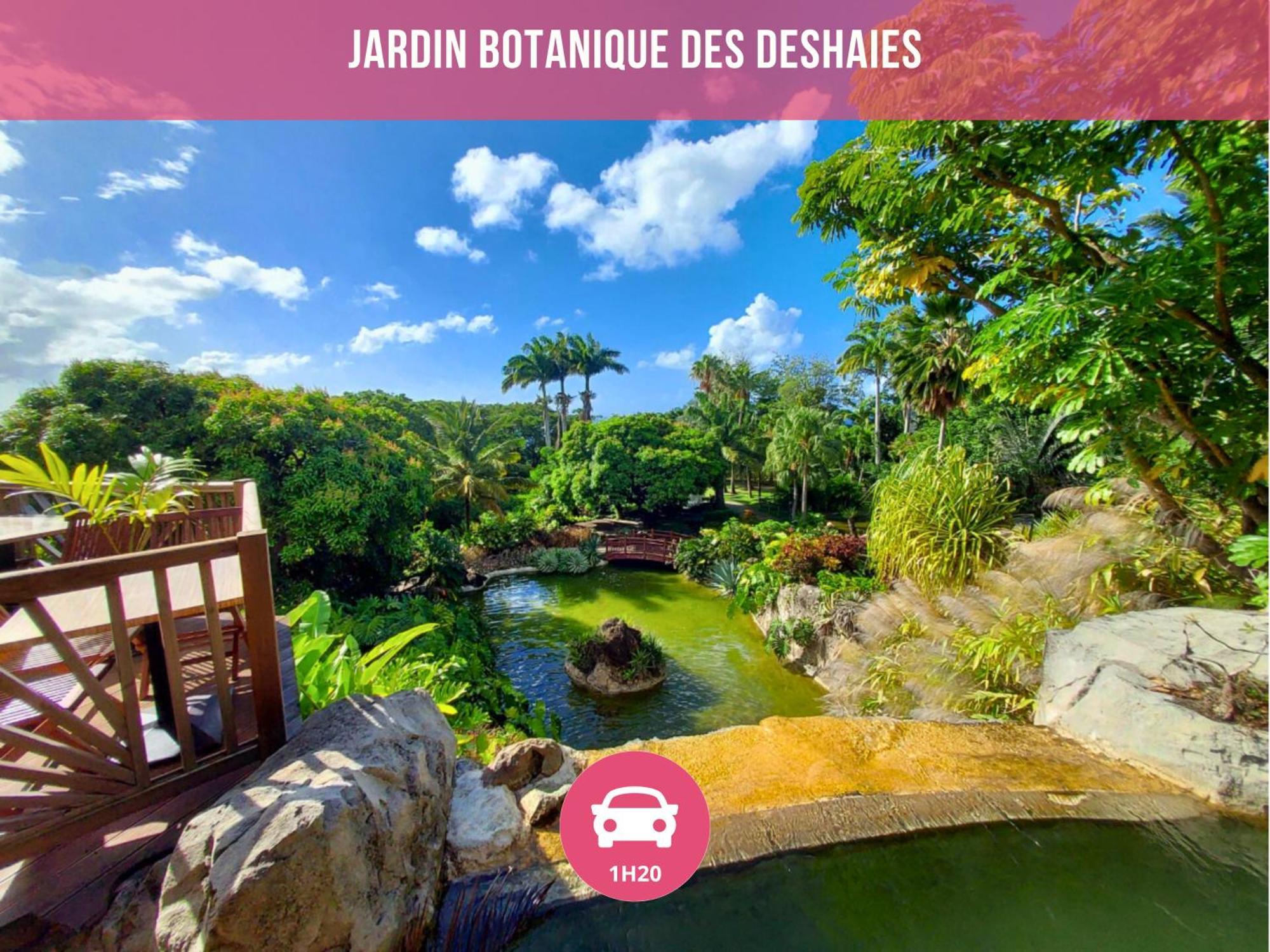 Le Sable Bleu - Evasion Tropicale A Sainte-Anne - Plage 5Min - Piscine - Parking - Logement Climatise - Vue Sur Les Palmiers - Parfait Pour Sejours En Famille Ou Entre Amis Eksteriør billede
