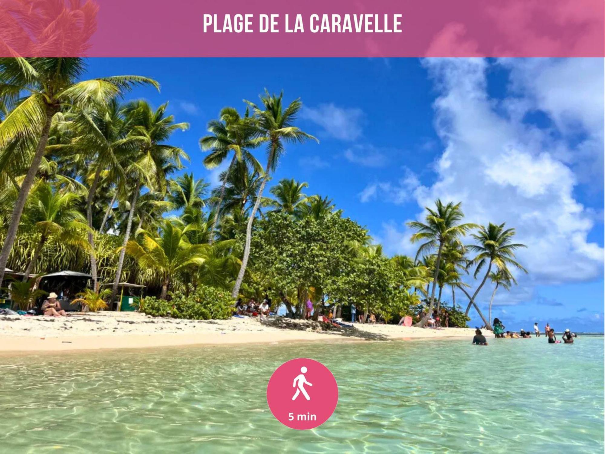 Le Sable Bleu - Evasion Tropicale A Sainte-Anne - Plage 5Min - Piscine - Parking - Logement Climatise - Vue Sur Les Palmiers - Parfait Pour Sejours En Famille Ou Entre Amis Eksteriør billede